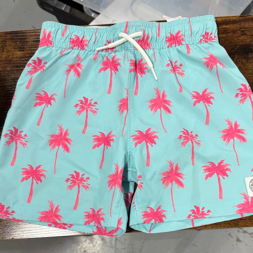 Boys Abercrombie & Fitch Aqua and Pink Palm Swim Trunks